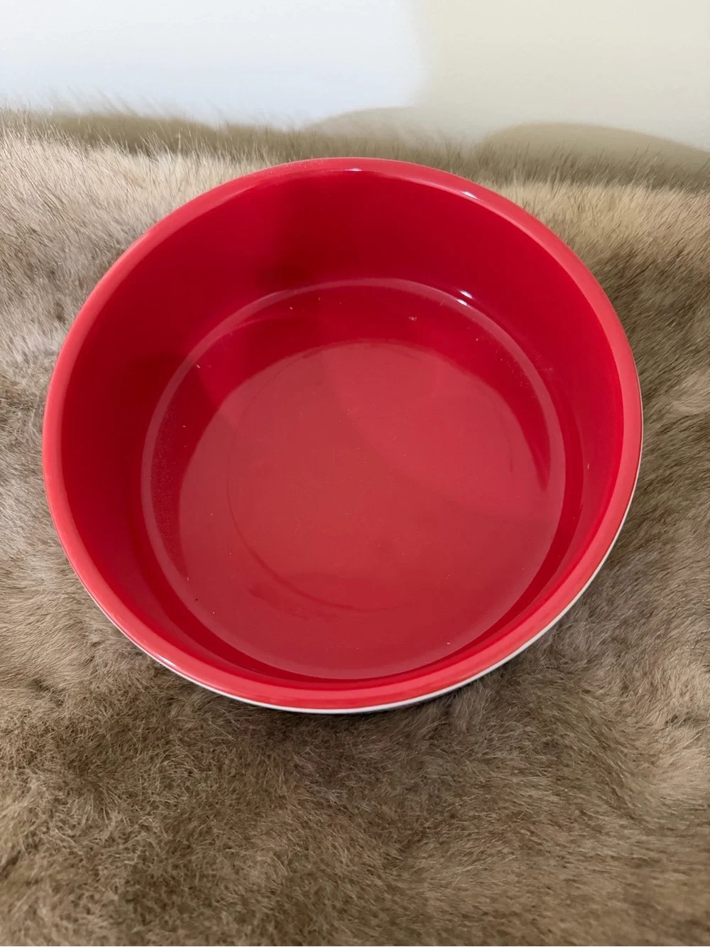 Ceramic Dog Bowl in Red and White – 'DOG' Designer Style